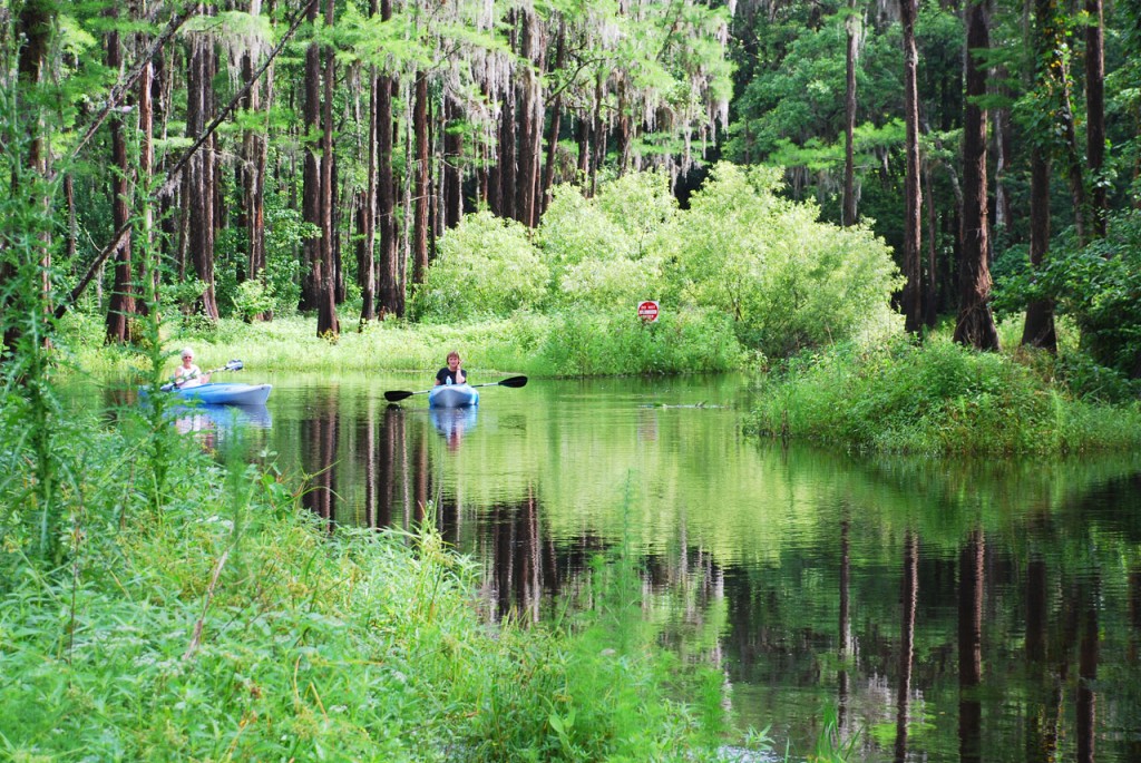 People kayaking in Shingle Creek