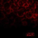 OSI - Blood Album