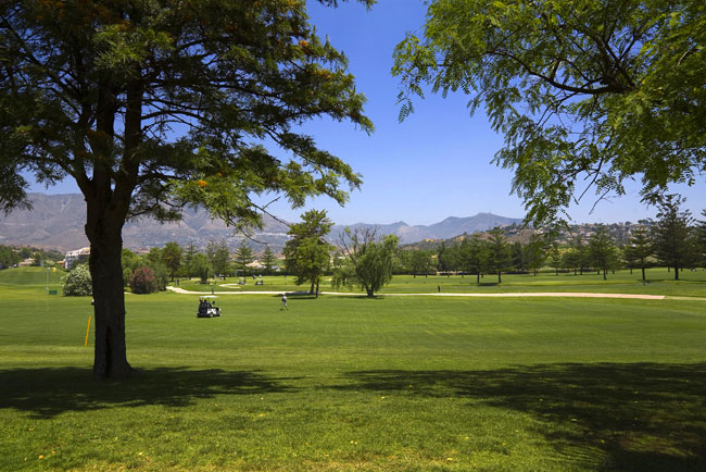 Los Olivos golf course in Mijas Golf with its impressive mountain backdrop