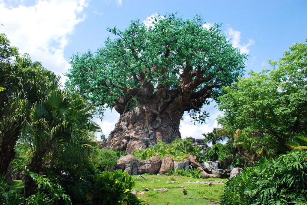 Disney's Animal Kingdom is the 4th of the 4 theme parks - pictured is the impressive Tree of Life