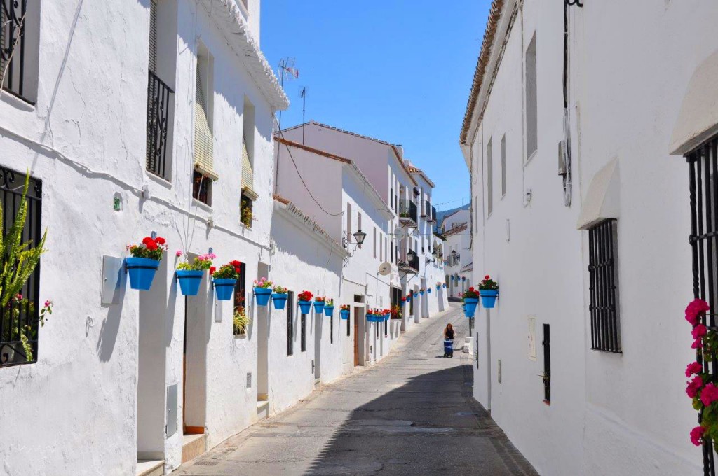 Traditional white-washed houses in Mijas proudly displaying colour geraniums