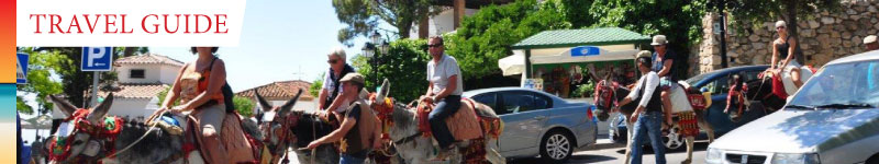 Learn more about the famous 'burro-taxis' - Donkey-powered transport in Mijas Pueblo, Spain 