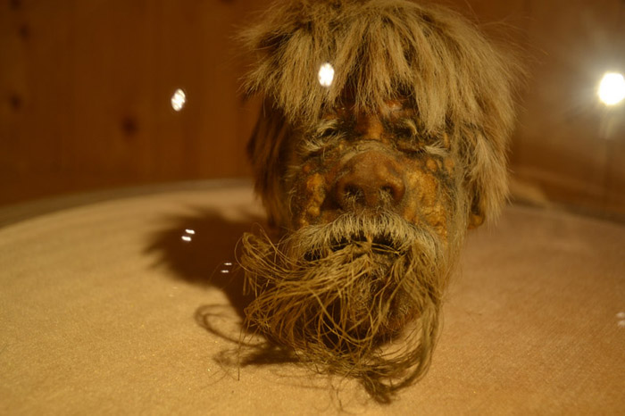 Shrunken Head on display in the Carromato de Max Museum