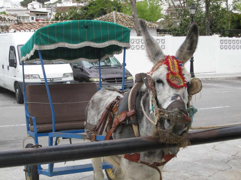 mijas-burro taxi